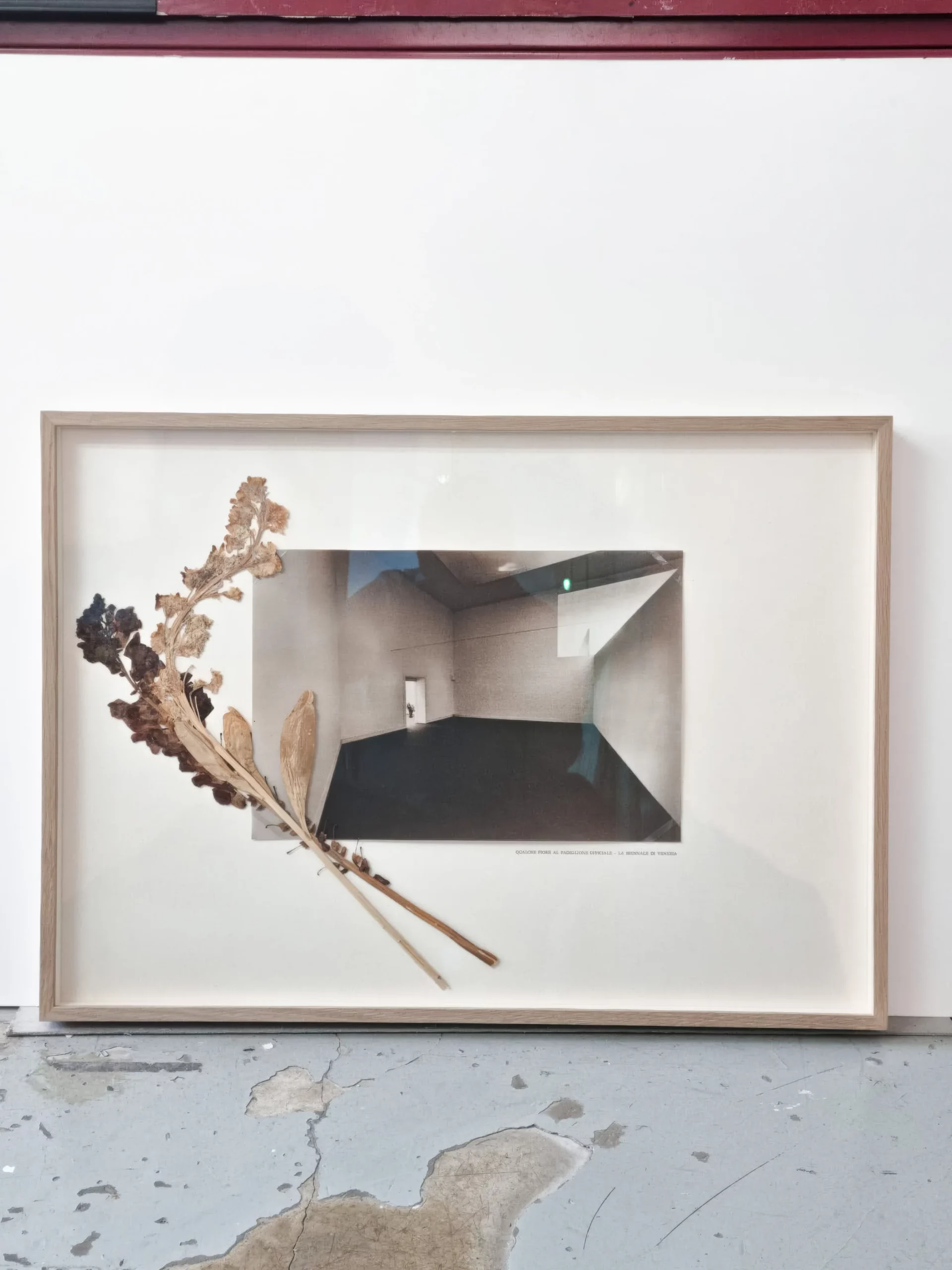 WhatsApp Image 2023-03-22 at 14.02.09-high fidelity v2-4x-light